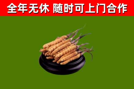 爱民区回收冬虫夏草